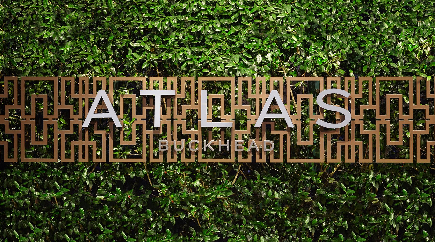 The sign, set into the hedge.