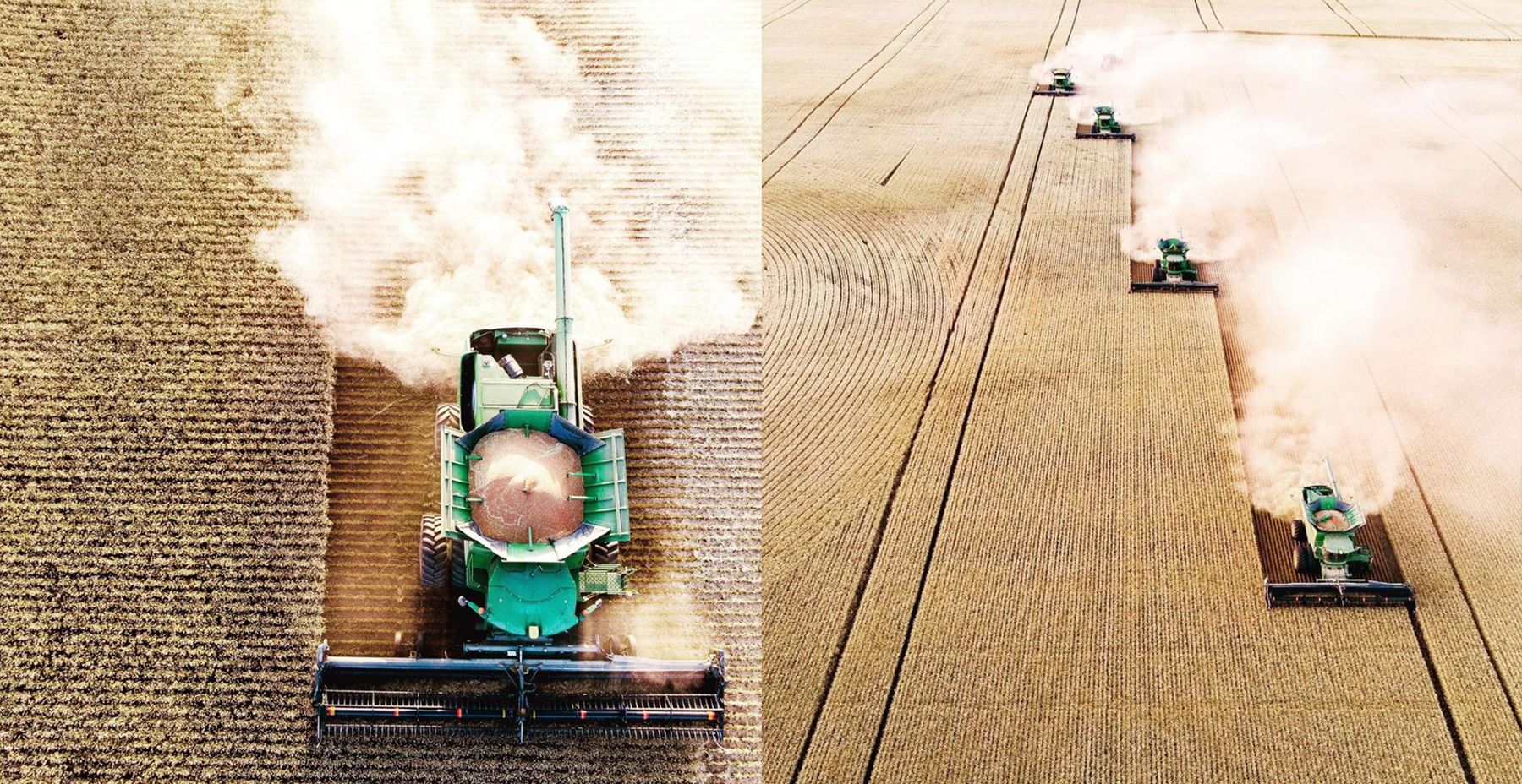 Harvest, Saskatchewan. Every batch can be traced to the field it came from.