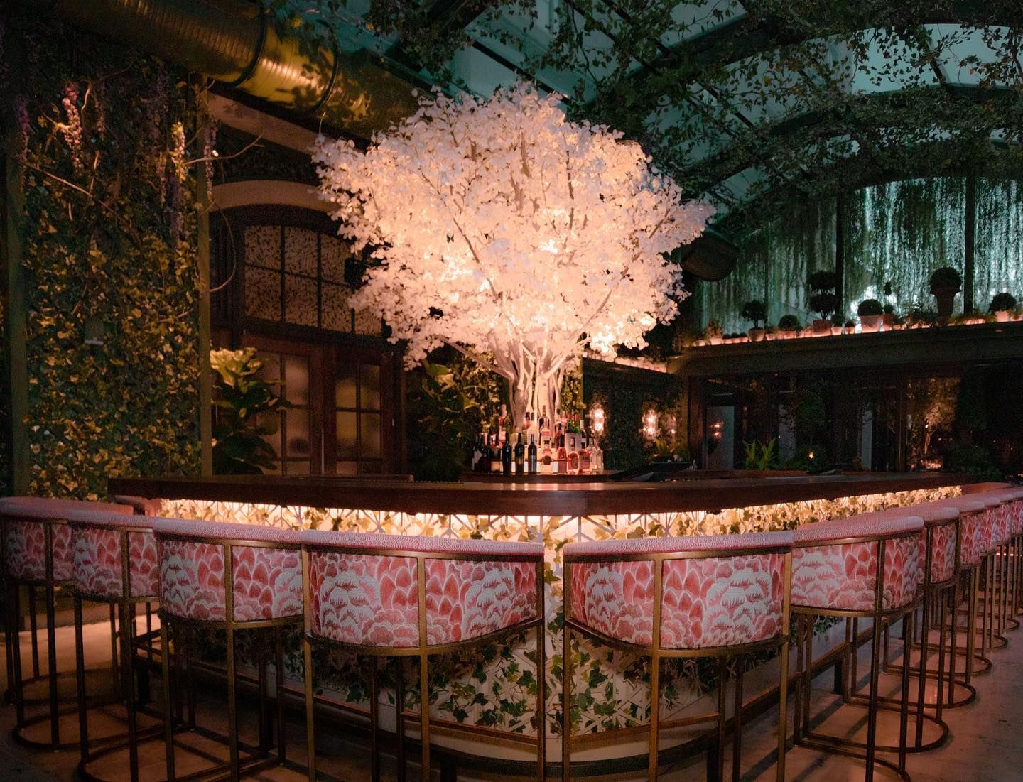 The bar.